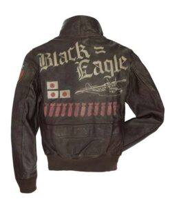 Alternative view of Top Gun Eagle USN G-1 Flight Jacket